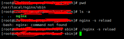 nginx-command-not-found